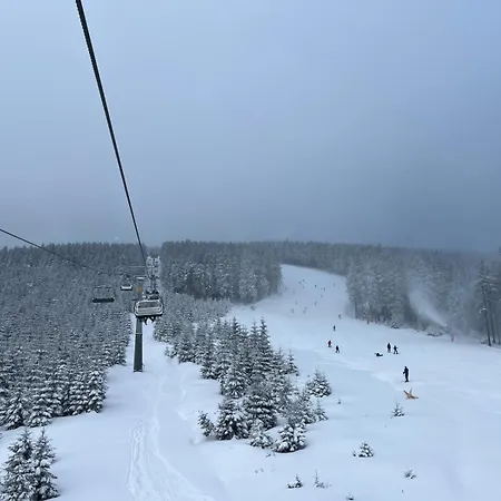 Lasoweczka *